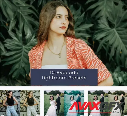 10 Avocado Lightroom Presets - QQWMK6M