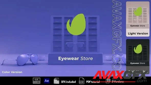 Eyewear Store 50914772 Videohive