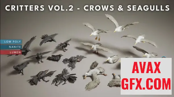 Unreal Engine Asset - Critters VOL.2 - Crows & Seagulls (Nanite and Low Poly w/Particle)
