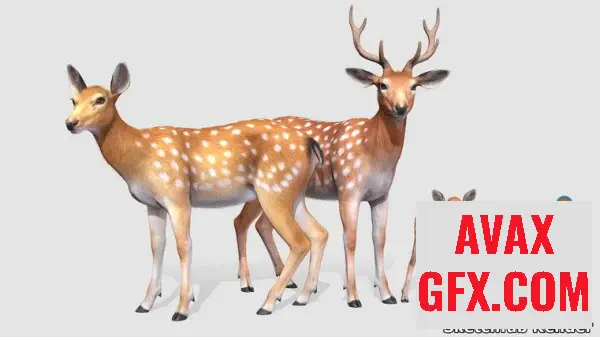Unreal Engine Asset - Deer Family v5.1+