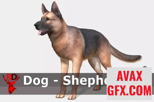 Unity Asset - Dog - Shepherd v3.0