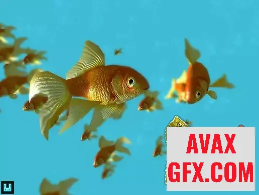 Unity Asset - Fish School Goldfish v1.34