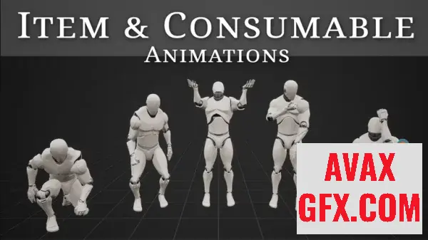 Unreal Engine Asset - Item & Consumable Animations v4.20+