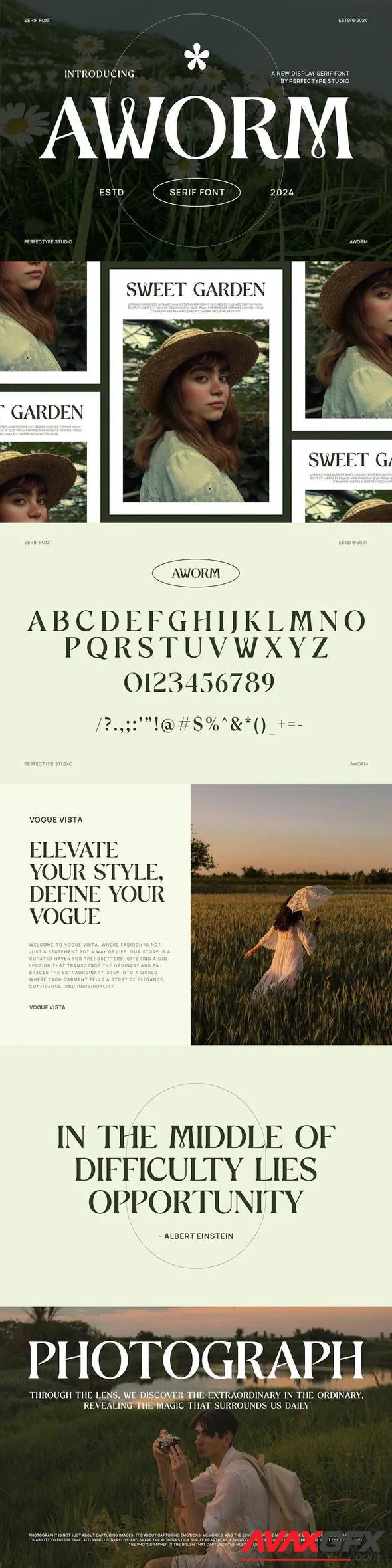 Aworm Elegant Serif Font Typeface
