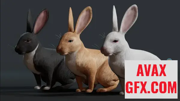 Unreal Engine Asset - Realistic Rabbit v4.27+