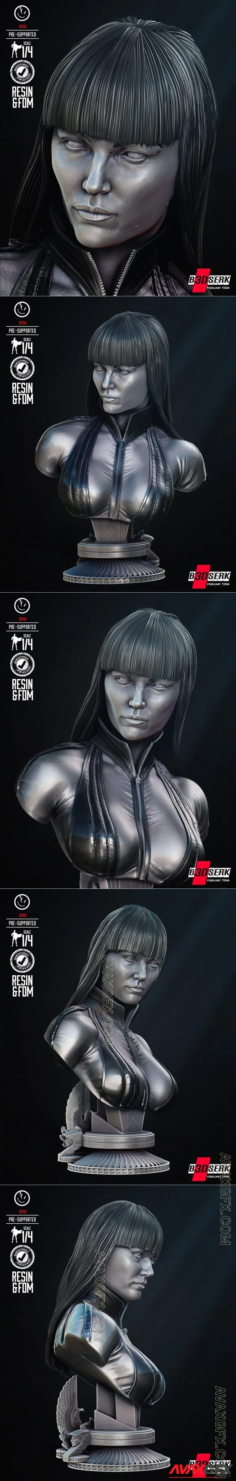 B3DSERK - Silk Spectre Bust Portrait - STL 3D Model