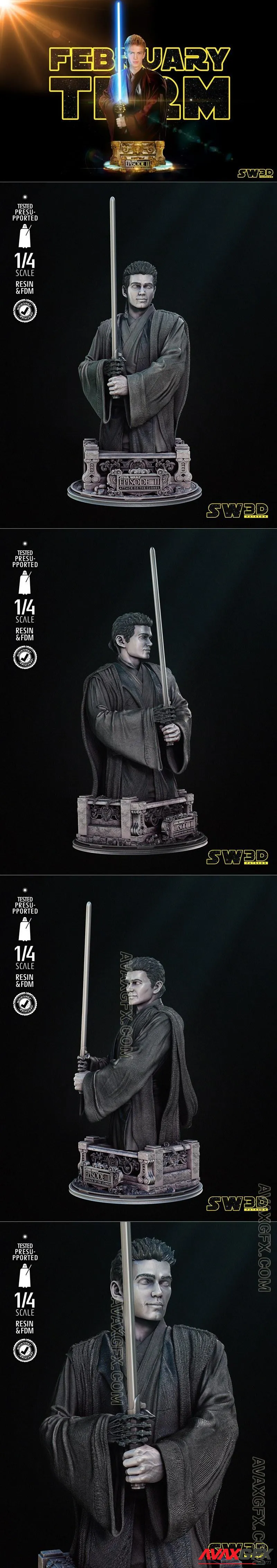 Star Wars - Anakin Bust - STL 3D Model