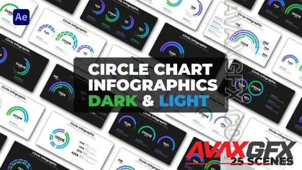 Circle Chart Infographics | Dark and Light Themes 50248206 Videohive
