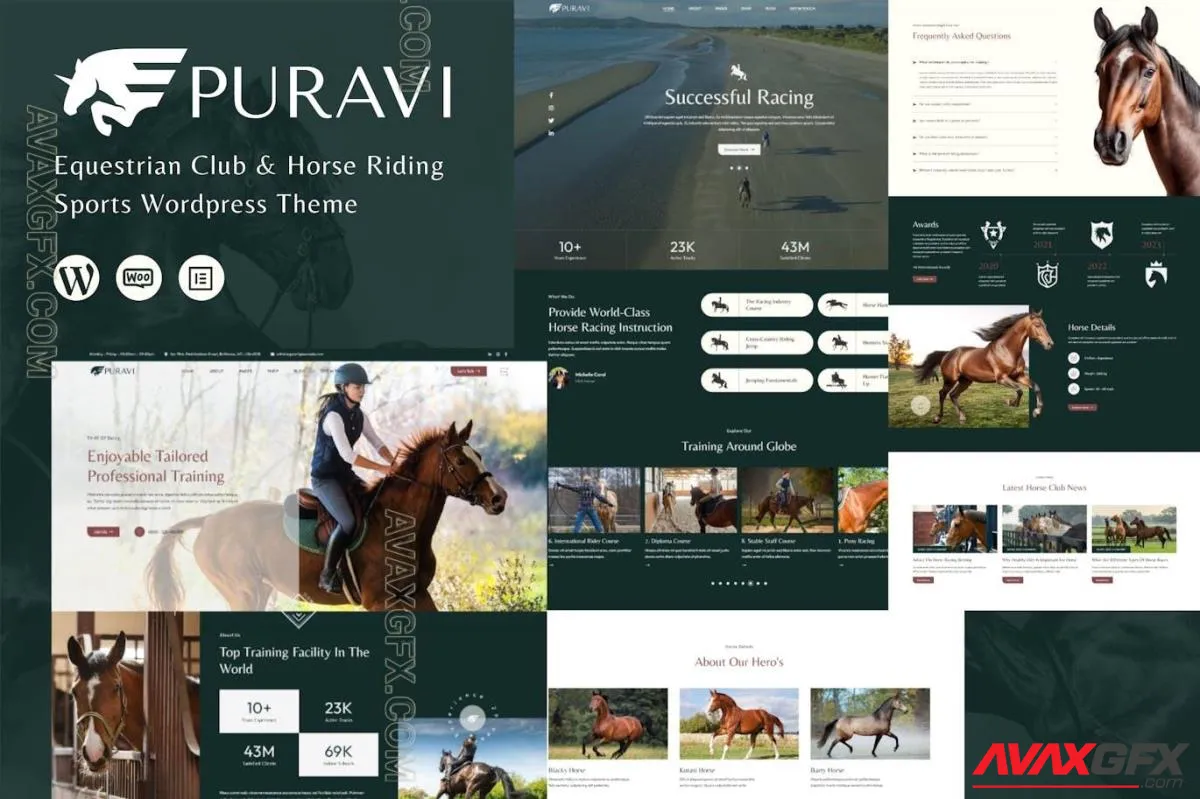 Puravi - Equestrian Club & Horse Riding Theme