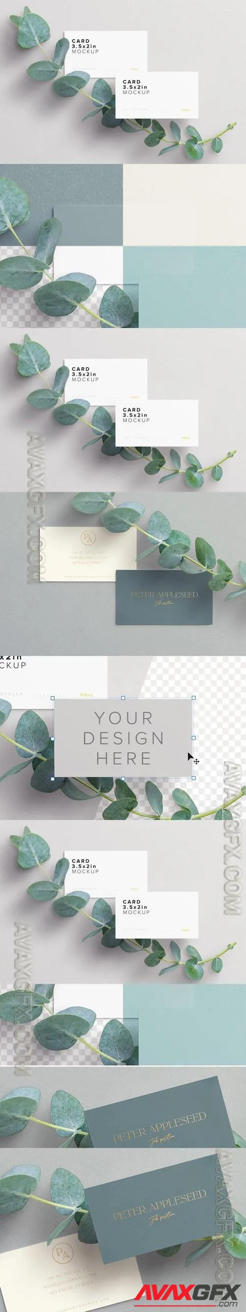 Business Cards with Eucalyptus Branch
