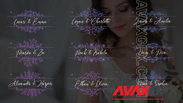 Wedding Titles - Horizontal Frames 51049650 Videohive