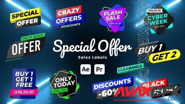 Special Offer Sale labels 51169430 Videohive