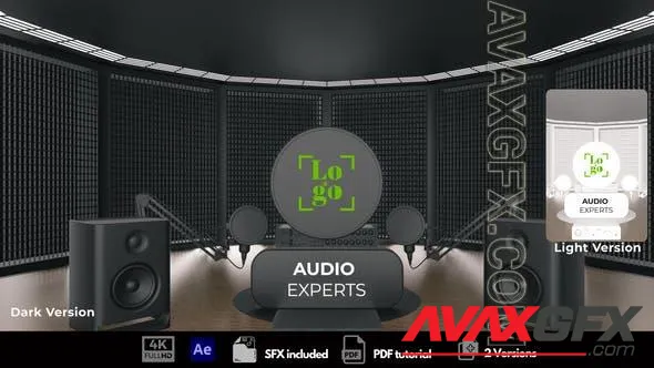 Audio Experts 51212102 Videohive