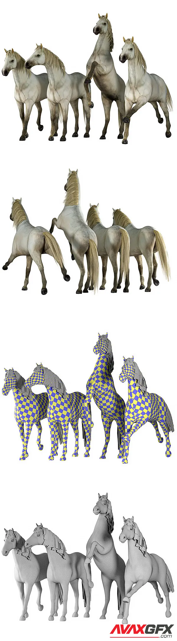 Horse in 04 Poses – 3D Model