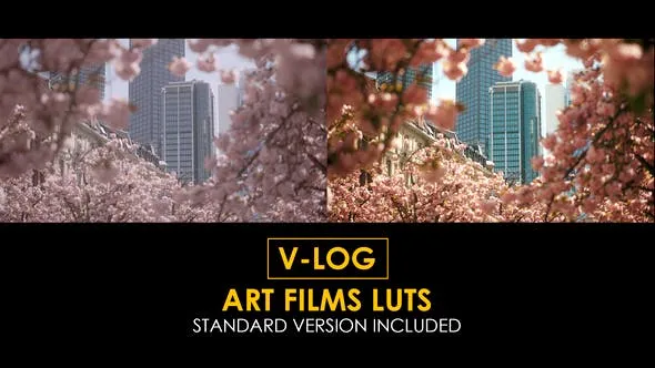 V-Log Art Film and Standard LUTs 51434140 Videohive