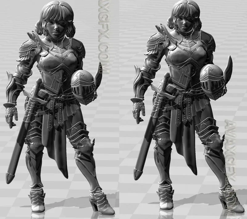 Svanielle - Captain of the Guard - STL 3D Model