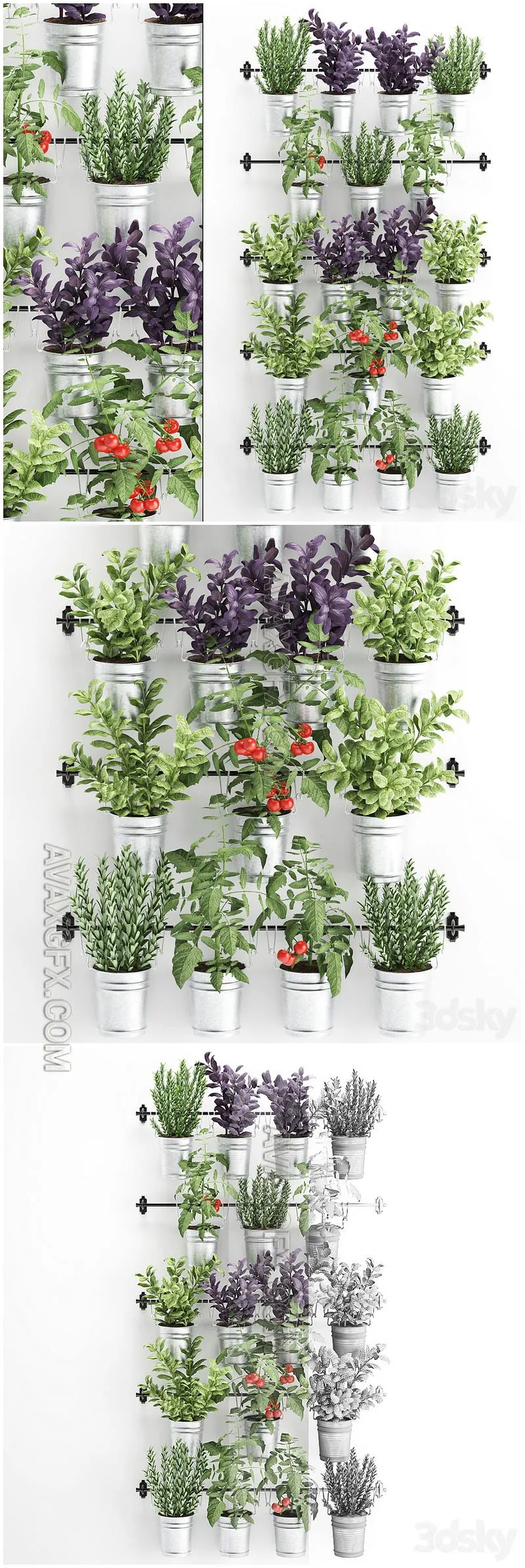 Vertical gardening  33 - 3D Model MAX