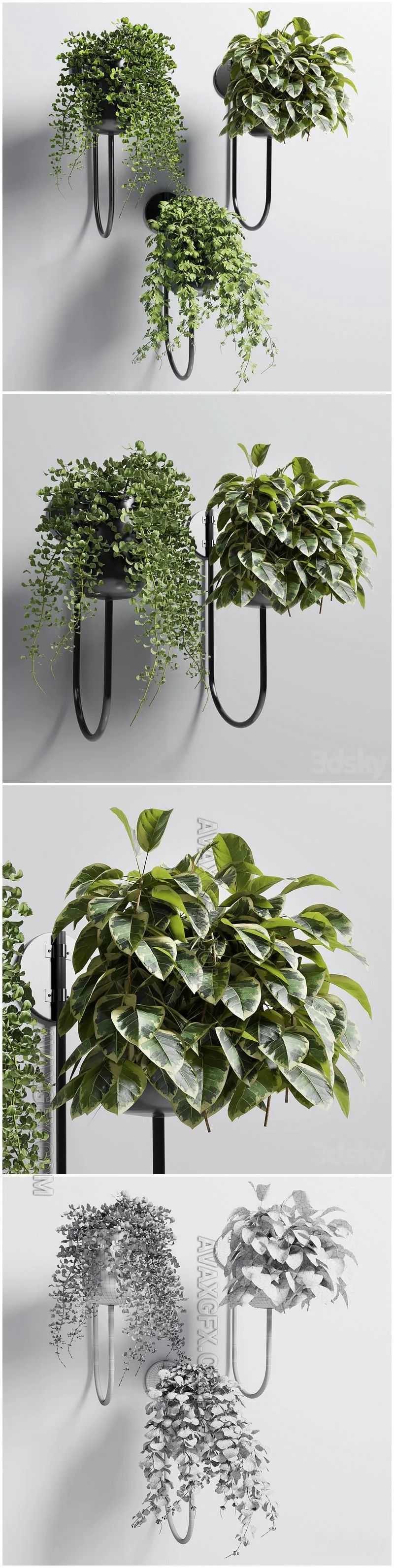 Collection Indoor plant 101 vase metal stand wall plant - 3D Model MAX