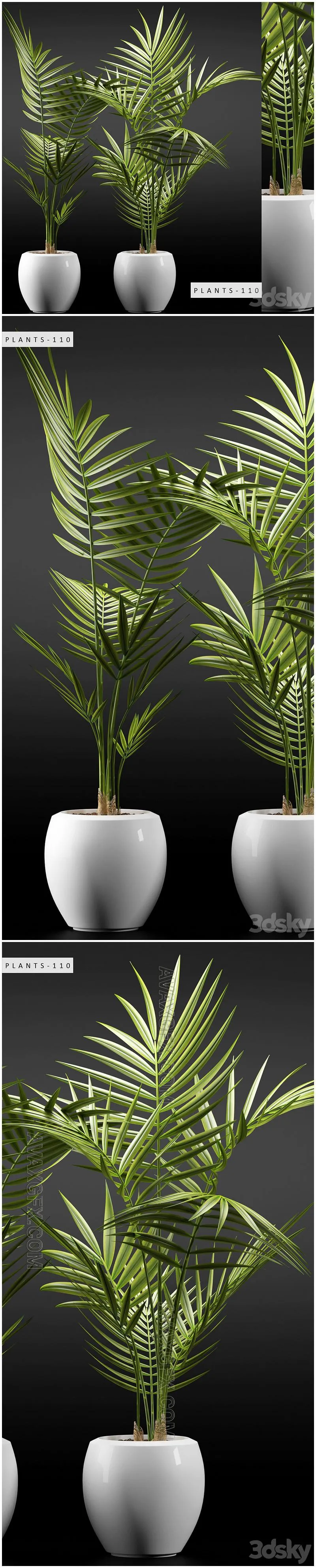 PLANTS 110 - 3D Model