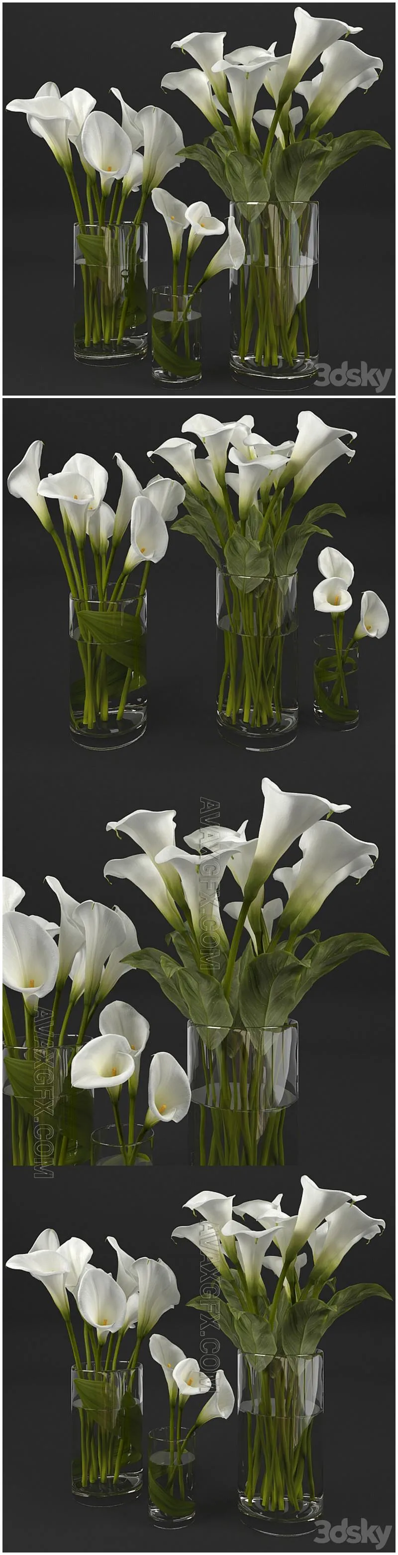 Calla lily - 3D Model