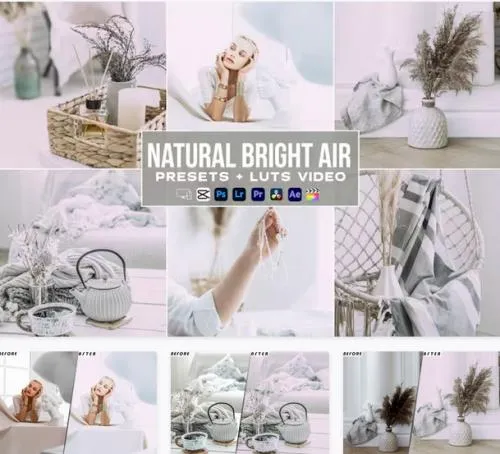 Natural Bright Presets - luts Videos Premiere Pro - 564XJEJ