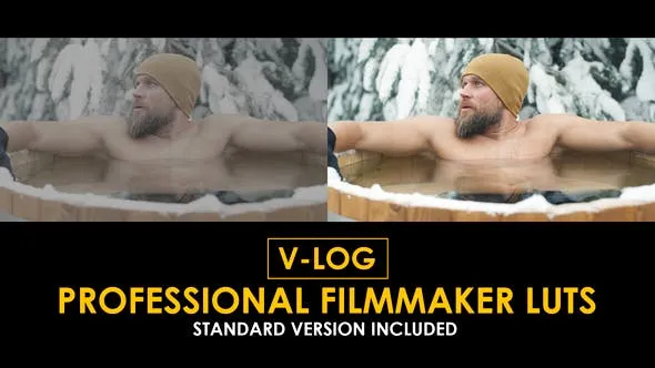V-Log Professional Filmmaker and Standard LUTs 51434060 Videohive