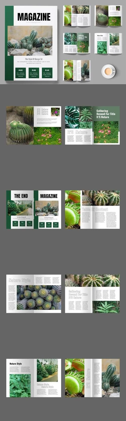 Magazine Layout