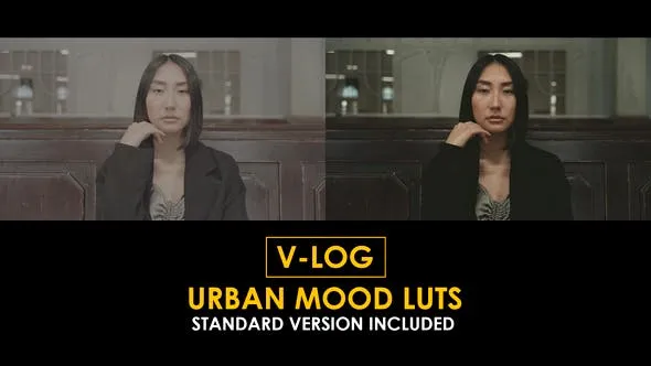 V-Log Urban Mood and Standard LUTs 51434233 Videohive