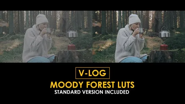 V-Log Moody Forest and Standard LUTs 51433971 Videohive
