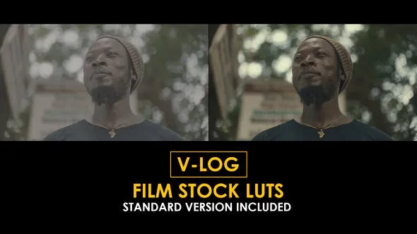 V-Log Film Stock and Standard LUTs 51434096 Videohive
