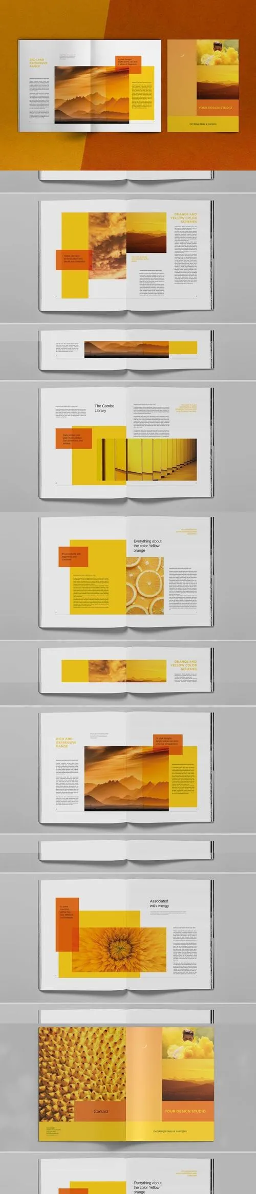 Yellow Color Palette Brochure Layout Template