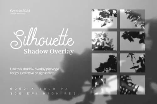 Silhouette Shadow Overlay - 4B5C9QA