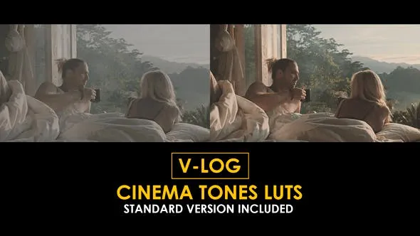 V-Log Cinema Tones and Standard LUTs 51433913 Videohive