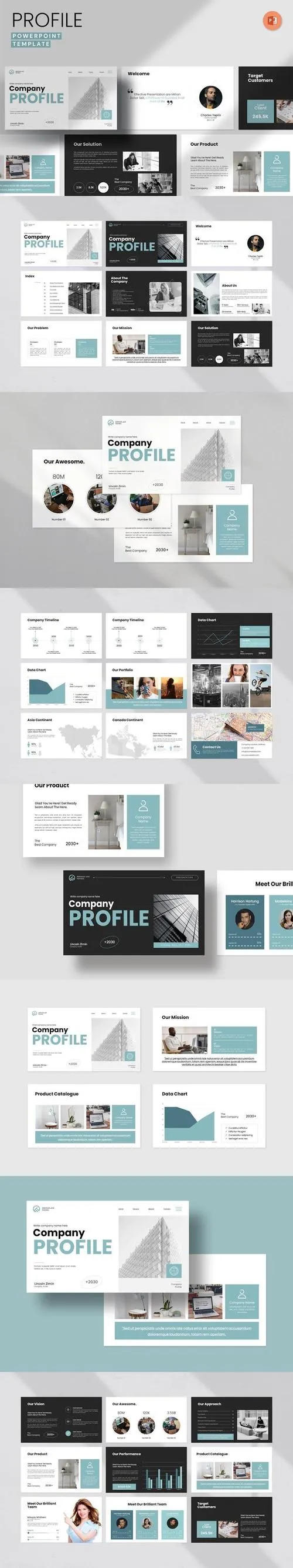 Company Profile PowerPoint Presentation Template