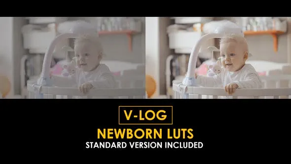V-Log Newborn and Standard LUTs 51434005 Videohive