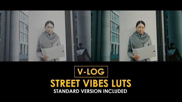 V-Log Street Vibes and Standard LUTs 51434079 Videohive