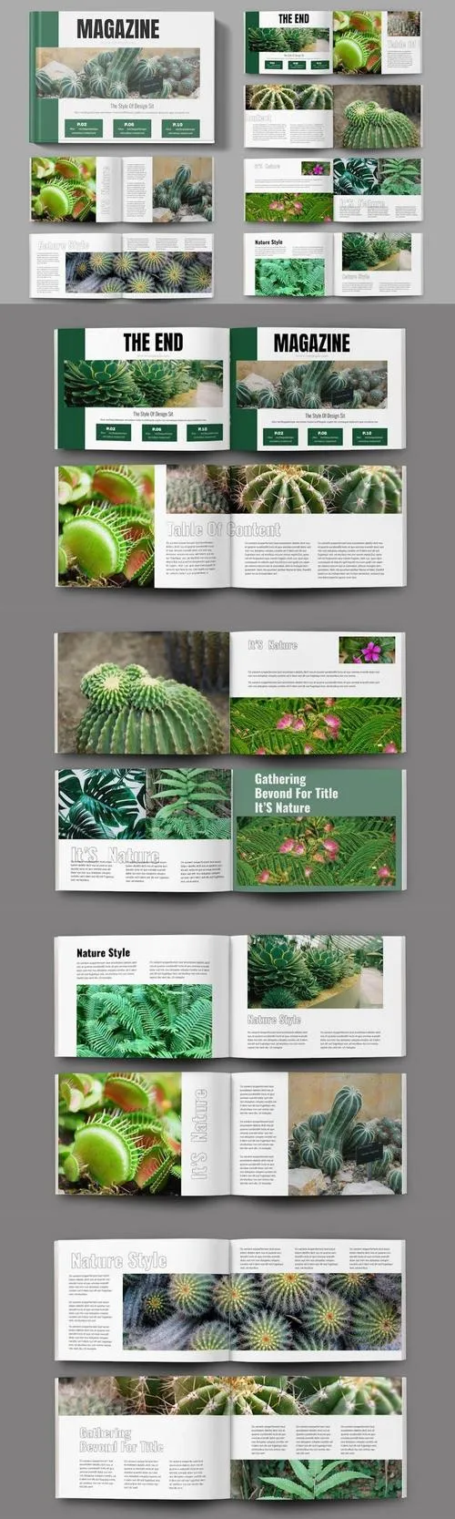 Magazine Layout Landscape