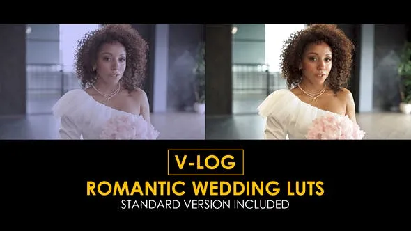 V-Log Romantic Wedding and Standard LUTs 51434065 Videohive