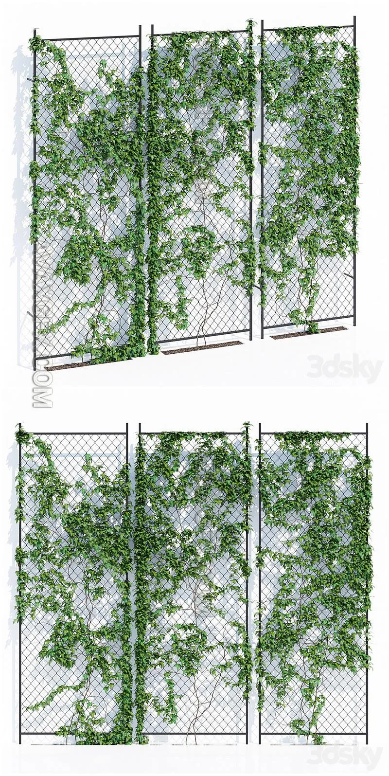 Ivy wall - 3D Model MAX