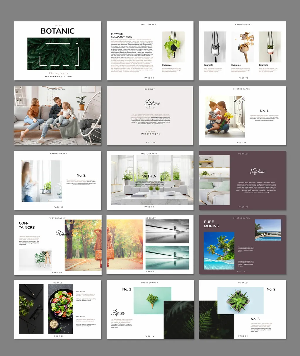 Adobestock - Botanic Layout 716632950