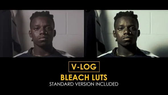 V-Log Bleach and Standard LUTs 51434167 Videohive