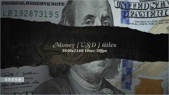 Money USD Titles/ Dollars USA/ Blockchain/ Banknotes and Bonds/ Business/ Economics/ Corporate/ $ 40168515 Videohive