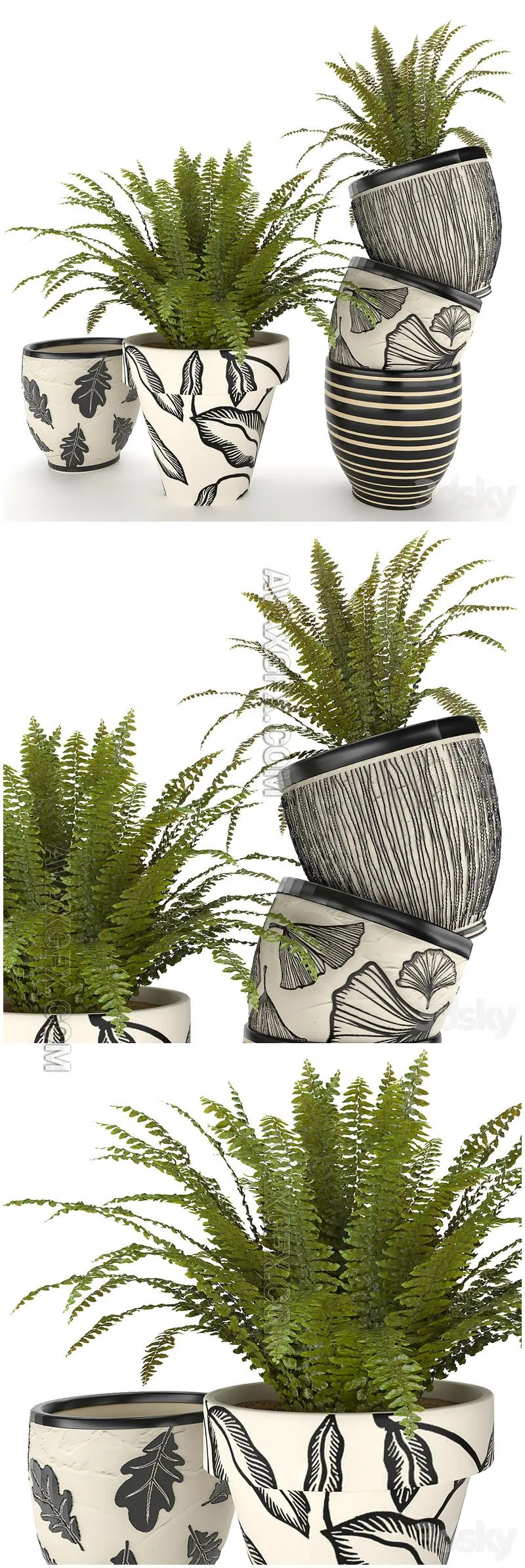 fern in vase 01 - indoor plant - 3D Model