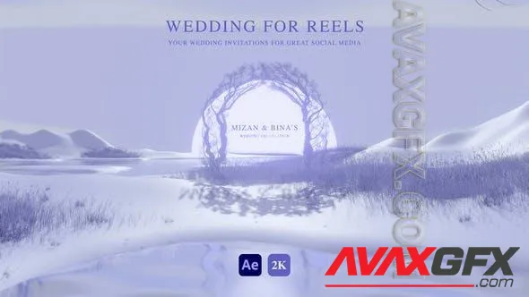 Wedding Invitation for Instagram Reels 51508657 Videohive