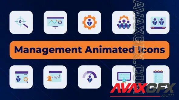 Management Animated Icons 51519097 Videohive