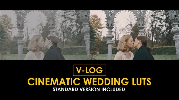 V-Log Cinema Wedding and Standard LUTs 51434438 Videohive