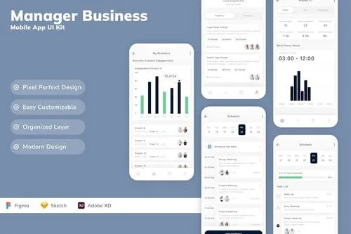 Manager Business Mobile App UI Kit