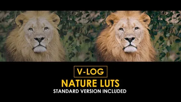V-Log Nature and Standard LUTs 51434363 Videohive