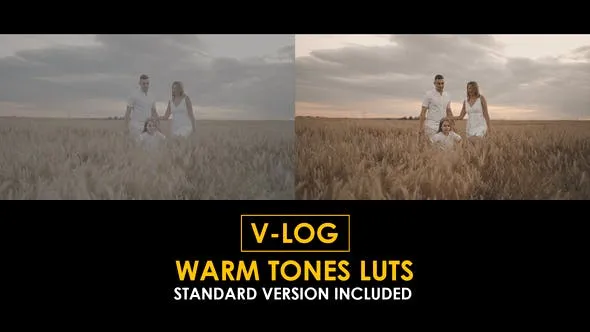 V-Log Warm Tones and Standard LUTs 51434416 Videohive