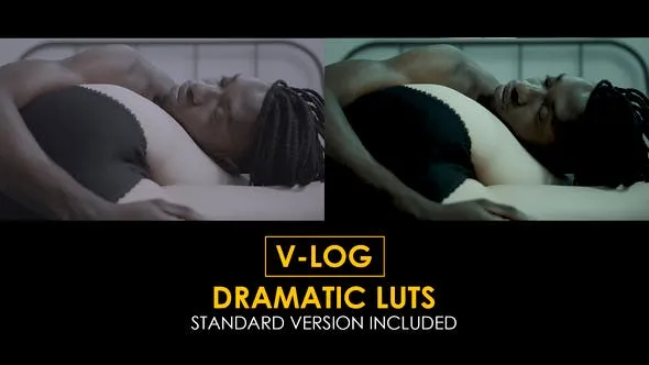 V-Log Dramatic and Standard LUTs 51434456 Videohive
